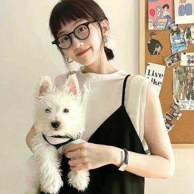 小车故障